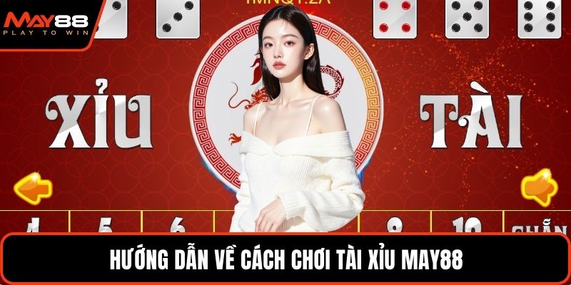 Hướng dẫn về cách chơi tài xỉu May88